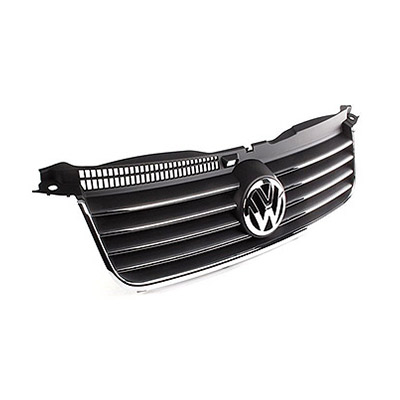 Grille de Calandre avec Moulures