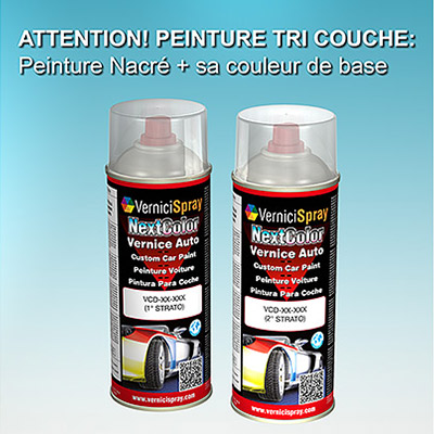 Bombe Peinture Voiture AUDI / VOLKSWAGEN A4/S4