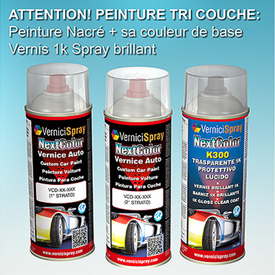 Kit Peinture Carrosserie GENERAL MOTORS USA STS