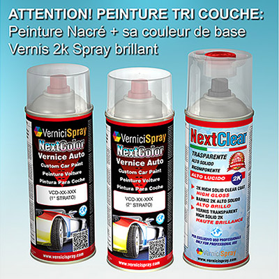 Kit Retouche Voiture en bombe pour rparation carrosserie DAIHATSU TANTO