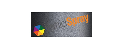 ZUC  MEDIUM GRAPHITE MATT (INTERIOR) FORD USA MUSTANG