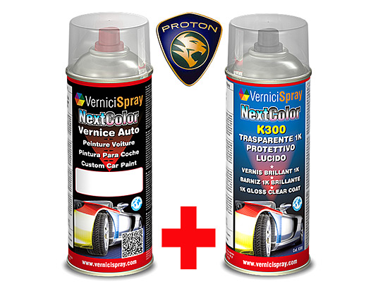 Kit Peinture Carrosserie PROTON 313