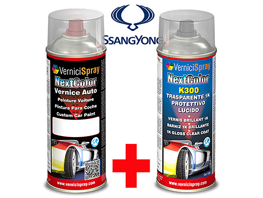 Kit Peinture Carrosserie SSANGYONG CHAIRMAN