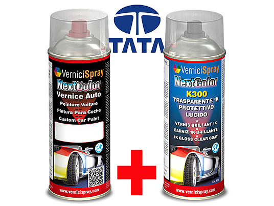 Kit Peinture Carrosserie TATA NANO