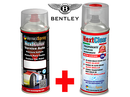 Kit Retouche Voiture en bombe pour rparation carrosserie BENTLEY ARNAGE