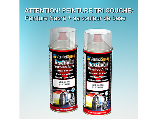 Bombe Peinture Voiture AUDI / VOLKSWAGEN A4/S4