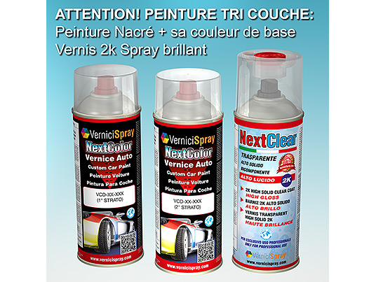 Kit Retouche Voiture en bombe pour rparation carrosserie FIAT PANDA