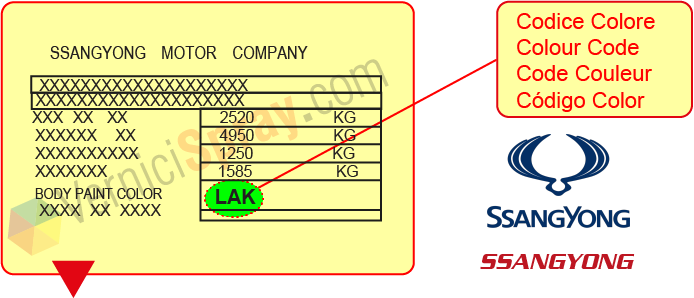 Targhetta colore SsangYong