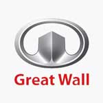 Toutes les couleurs pour - GREAT WALL MOTOR
